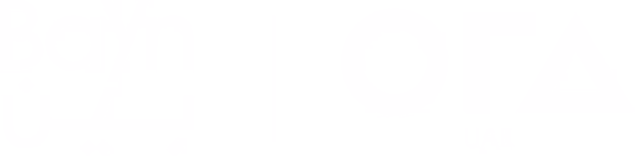 bayn logo