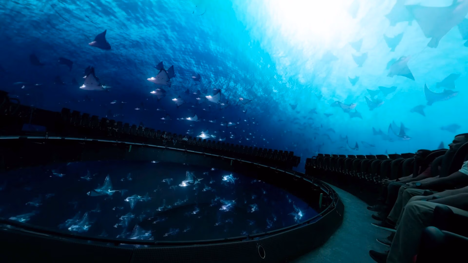 Hypersphere-360-in-SeaWorld-Yas-Island