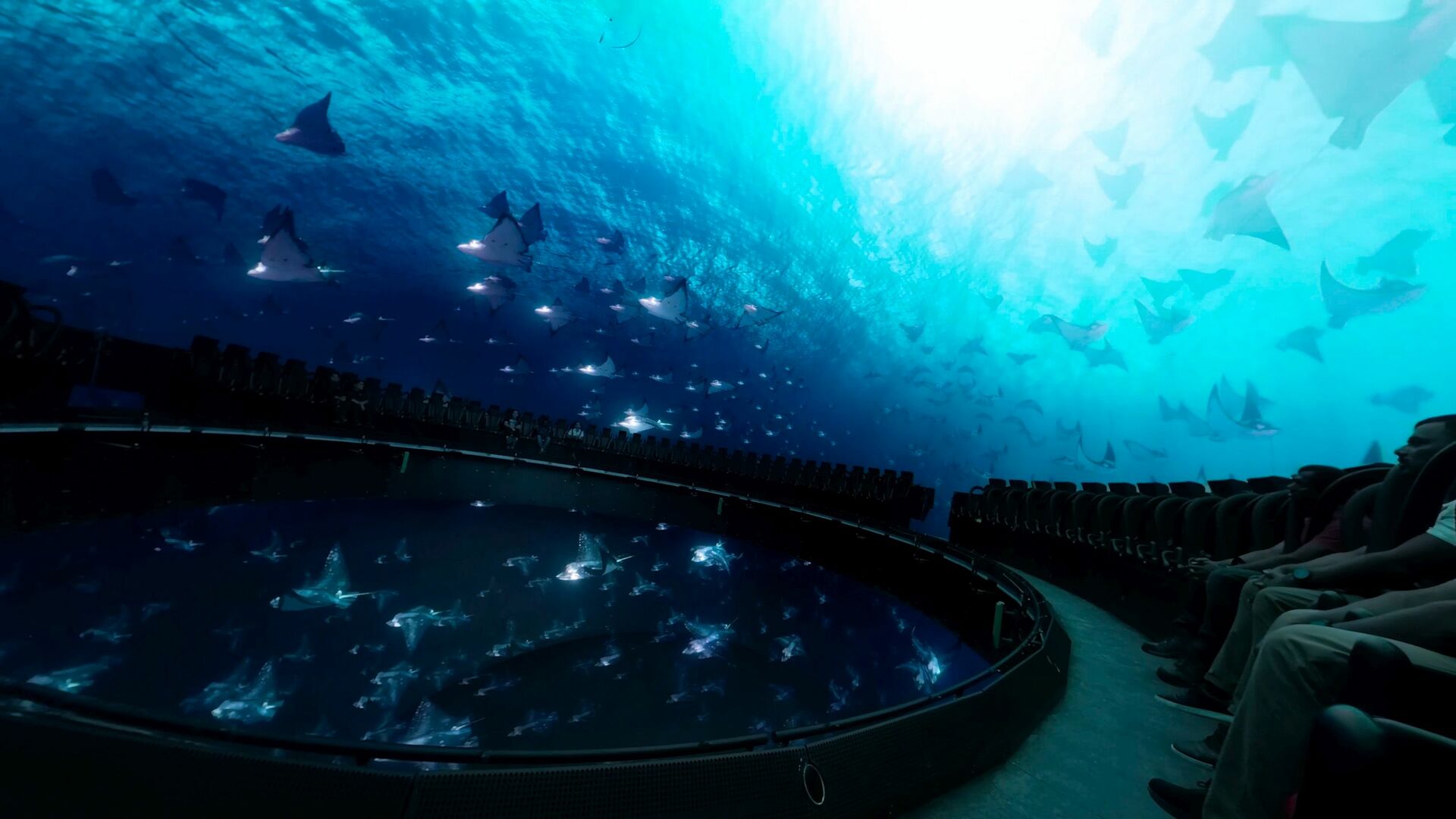 Hypersphere-360-in-SeaWorld-Yas-Island