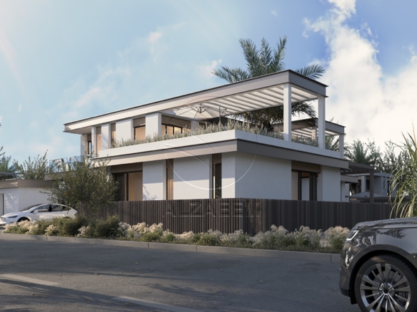 Single Row Mid | South Californian Frontage