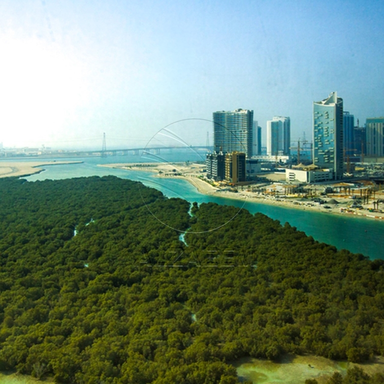 Mangrove View | Move-in Ready | Prime Location