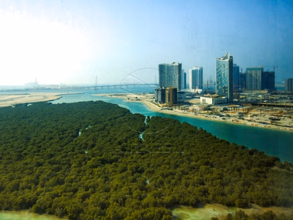 VACANT! Mangrove View | Higher Floor