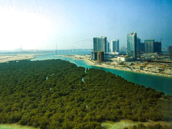 VACANT! Mangrove View | Higher Floor
