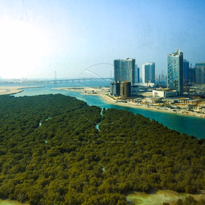 VACANT! Mangrove View | Higher Floor
