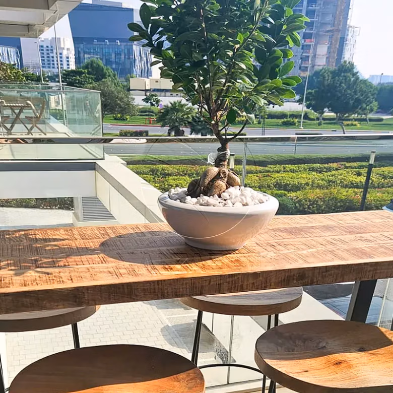 Upcoming | Fully Furnished 1BR + Study and Storage