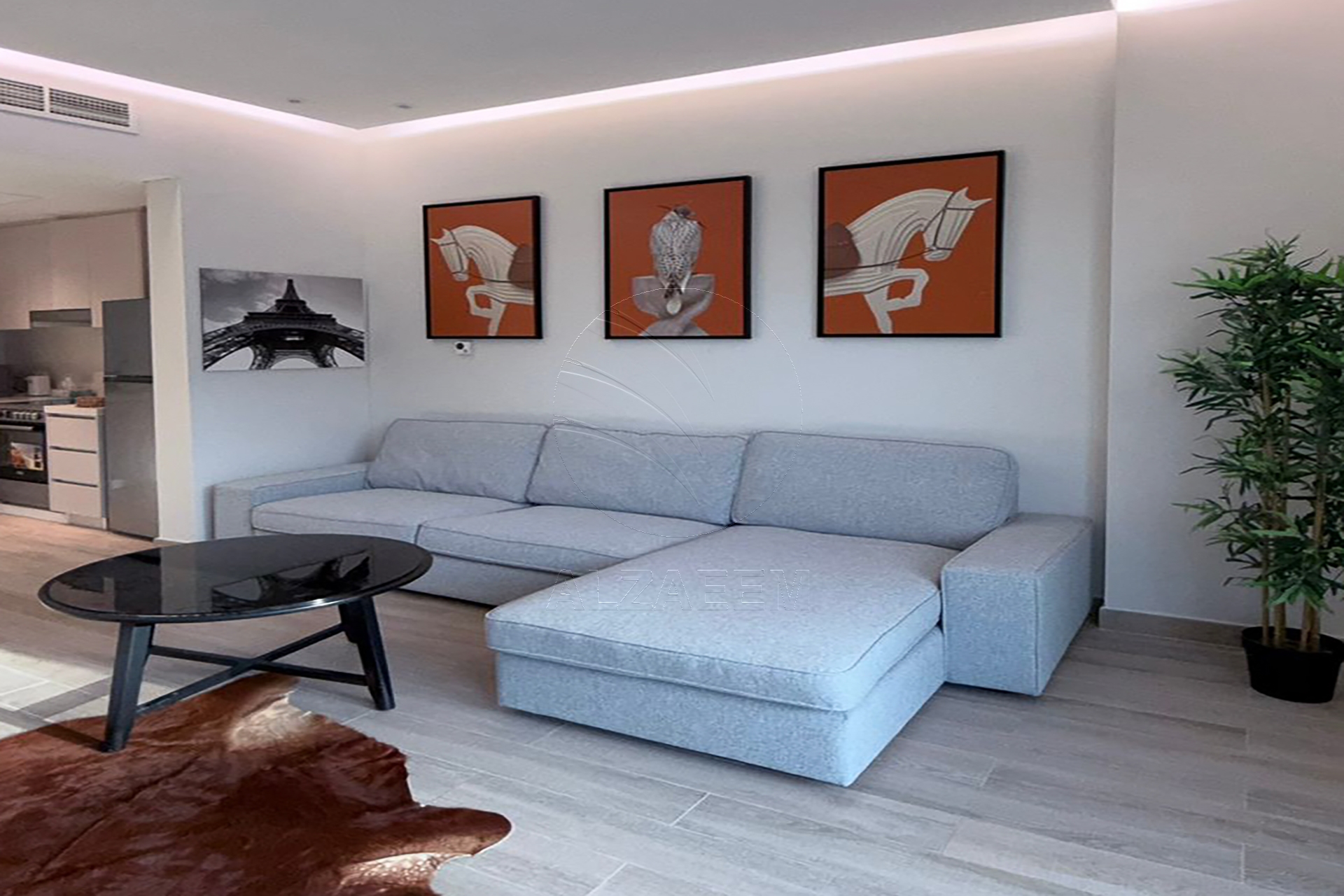 HOT DEAL | Elegantly Furnished and Modified