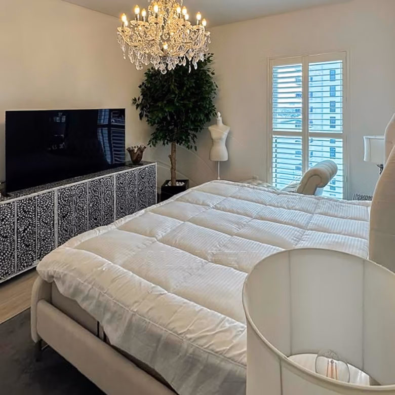 FULL CANAL VIEW | Furnished | Upto 12 Payments