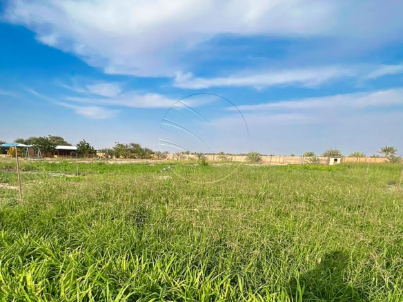 27,871 SQM Farm Land in an Excellent Location