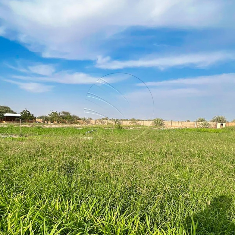 27,871 SQM Farm Land in an Excellent Location