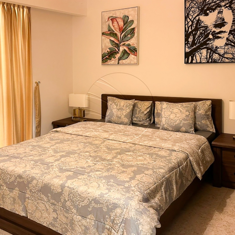 √ Luxuriously Furnished | VACANT | BIG Layout √