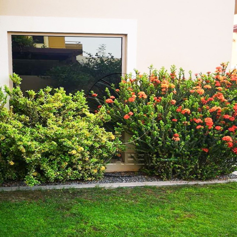√Corner Landscaped Villa Type S | Prime Location√