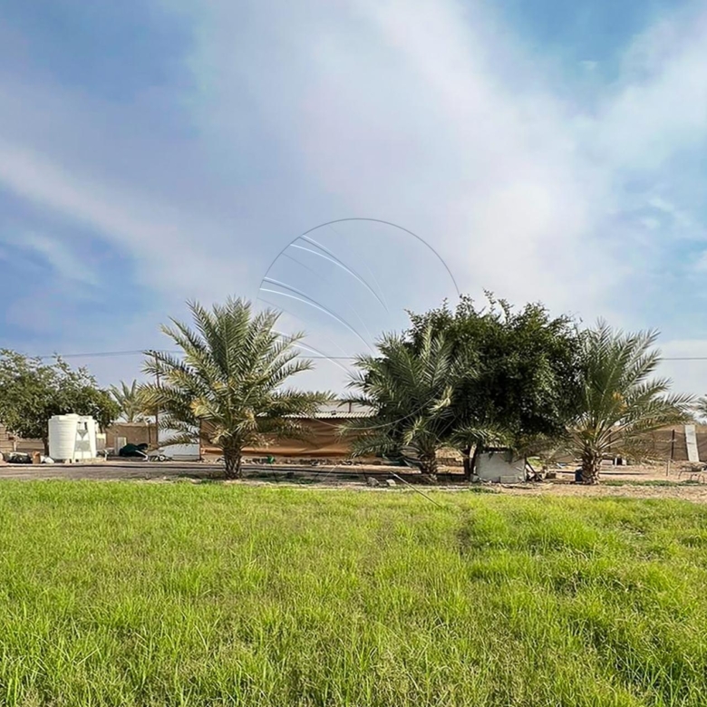 27,871 SQM Farm Land in an Excellent Location