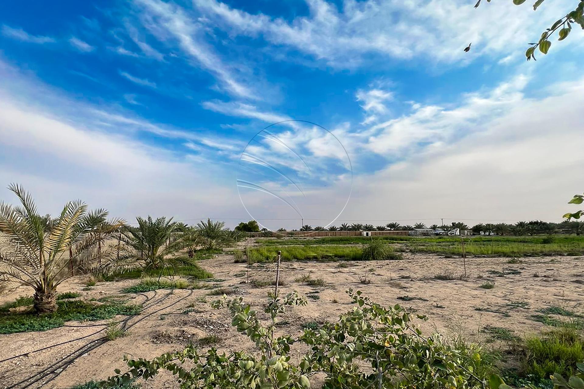 27,871 SQM Farm Land in an Excellent Location