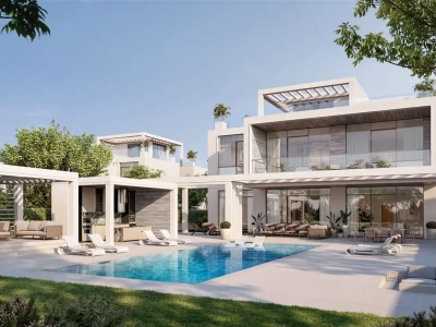 Modon Properties