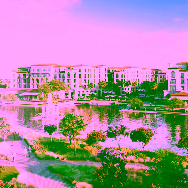 Bloom_Header