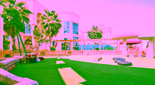 Saadiyat-Island-Education-Facilities2