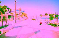 Saadiyat-Island2